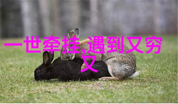 花镇情感导师教您三则处理好婆媳关系
